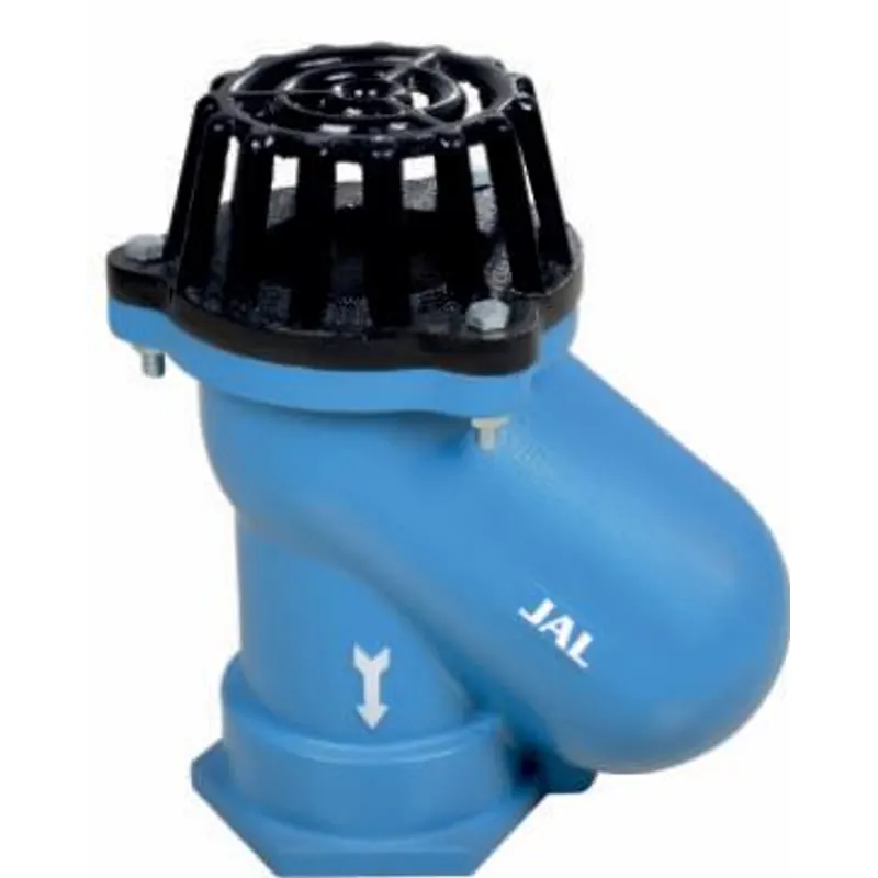 C.I Foot Valve NRV