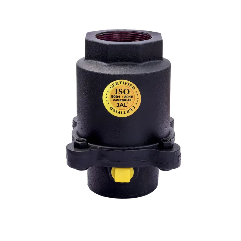 Check Valve with Hole